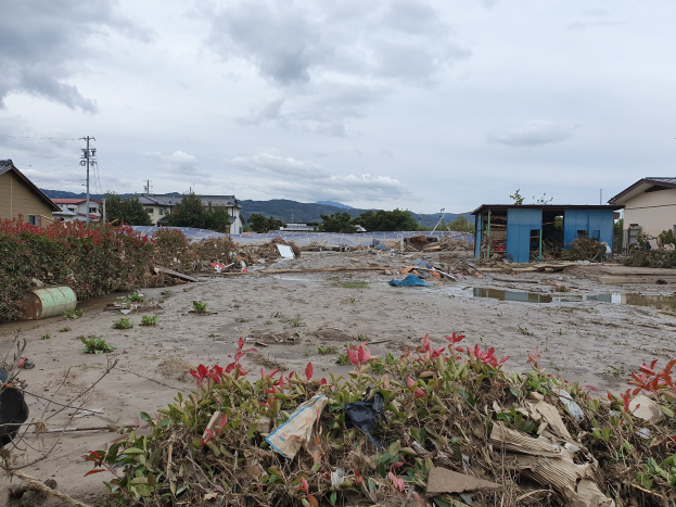 Eine überflutete Straße in einem kleinen Dorf mit Schutt, darunter Pflanzen, Blumen und Holzstücke, mit Häusern, Bäumen, Strommasten, Hügeln und einem bewölkten Himmel im Hintergrund, das die Auswirkungen des Japan-Erdbebens und Tsunamis zeigt.