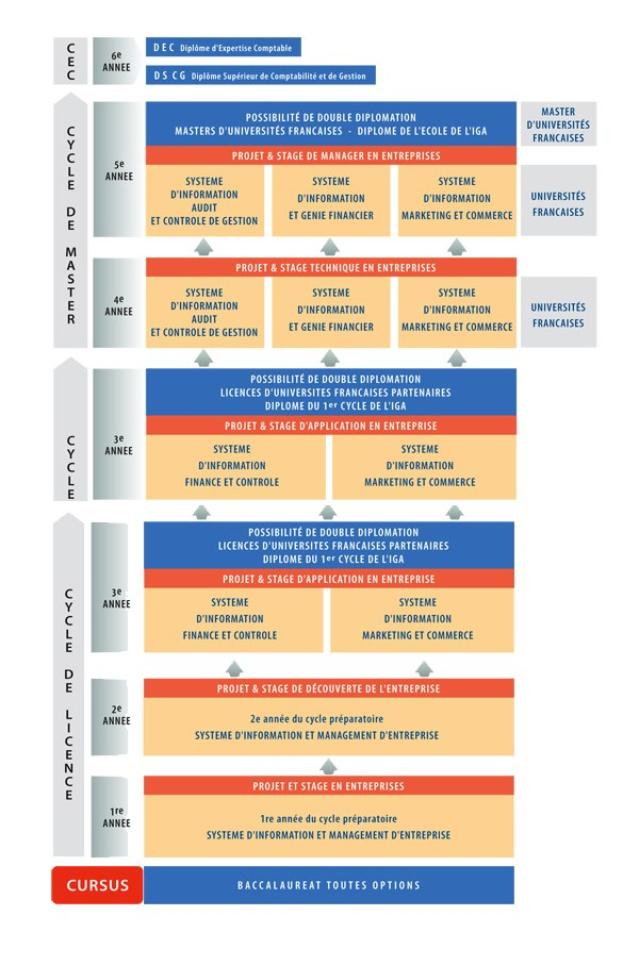 Diagramm, das die organisatorische Struktur eines Unternehmens mit interconnected boxes darstellt, die die Stufen des Geschäfts growths and development darstellen, begleitet von beschreibendem Text.