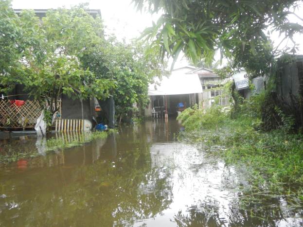 Eine überflutete Wohnstraße mit Wasser bedecktem Boden, Pflanzen, Bäumen und Häusern, mit ein paar verstreuten Gegenständen und dem Himmel im Hintergrund.