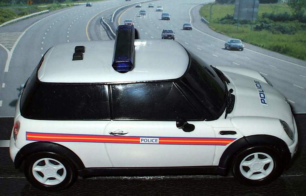 Ein weißer Polizeiwagen steht im Vordergrund mit vielen Autos, die sich auf der Straße dahinter bewegen, umgeben von Gras und Bäumen auf beiden Seiten.