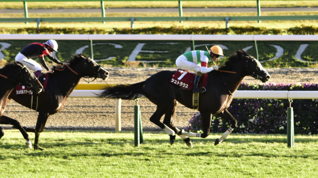 Zwei Jockeys in Helmen lenken Pferde auf einer von Grün umgebenen Bahn, mit einer Absperrung und einer Tafel im Hintergrund.
