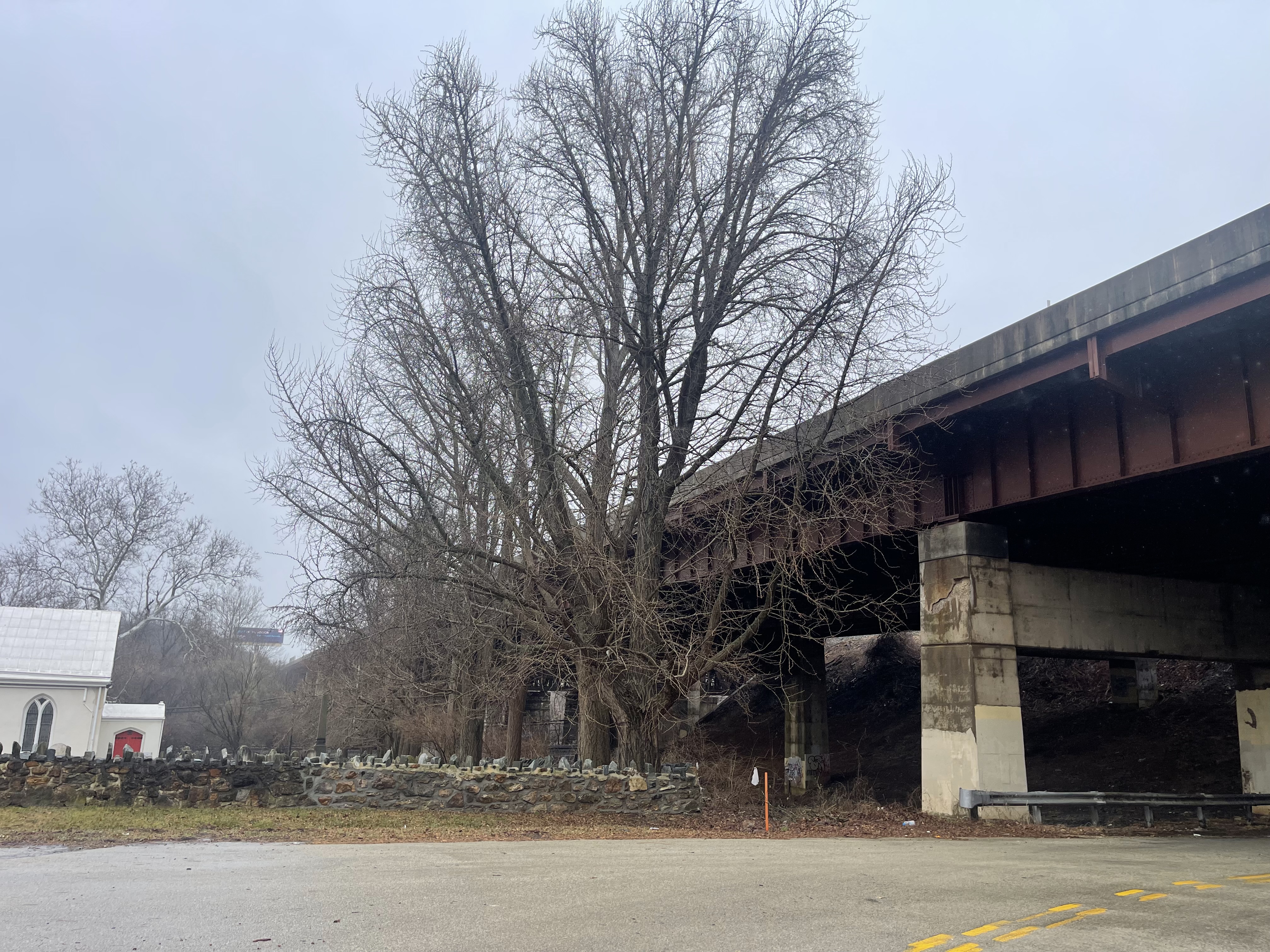 Eine Brücke über einer reparaturbedürftigen Straße mit einem Baum in der Mitte, umgeben von Steinen, Gras, einem Haus, einem Schild, einem Straßenpfahl, einer Baumgruppe und einem bewölkten Himmel.