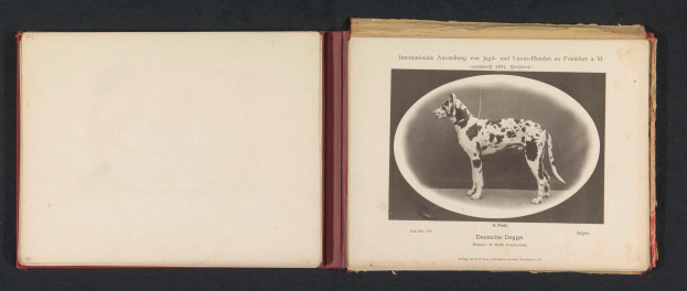 Ein aufgeschlagenes Buch mit dem Titel 'Internationale Ausstellung von Jagd- und Luxus-Hunden zu Frankfurt a M', das ein Schwarz-Weiß-Foto eines Hundes und begleitenden Text enthält.