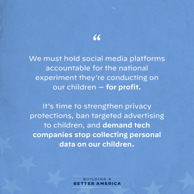 Ein Plakat mit einem Zitat aus Building a Better America, das lautet: "Wir müssen die sozialen Medien-Plattformen für das nationale Experiment zur Rechenschaft ziehen, das sie an unseren Kindern durchführen - zum Profit.", geschmückt mit Sternen.