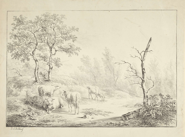 Eine bewaldete Landschaft mit einer Herde Schafe im Vordergrund, umgeben von Bäumen und Pflanzen, und Text unten.