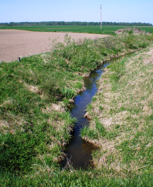 Ein kleiner Bach flie├čt durch eine gr├╝ne Wiese, mit einem Pfahl im Hintergrund und einem klaren blauen Himmel ├╝berhaupt.