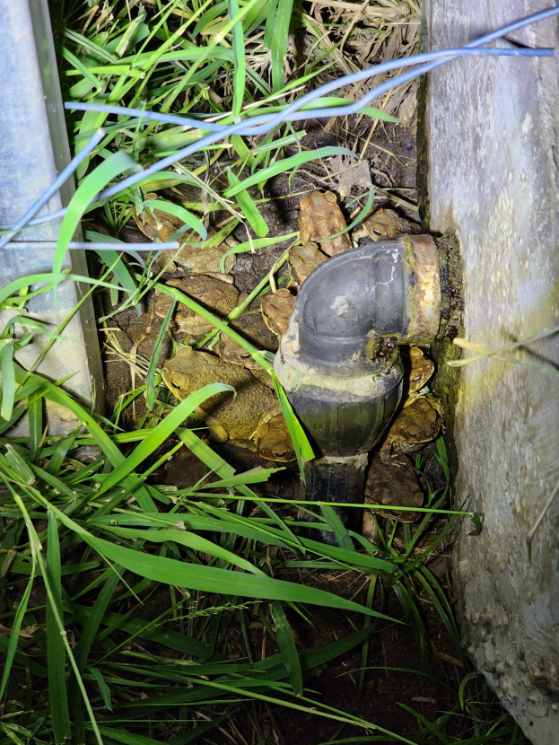 Ein Metallrohr liegt im Gras neben einer Wand, mit verstreuten Steinen und einem Wasserzähler auf der linken Seite.