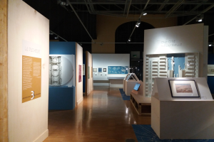 Ein Raum voller verschiedener Kunstwerke, darunter gerahmte Fotos auf Tischen, Texttafeln an den Wänden, Deckenleuchten und ein Teppichboden, was auf eine Ausstellung im Museum of Modern Art hindeutet.