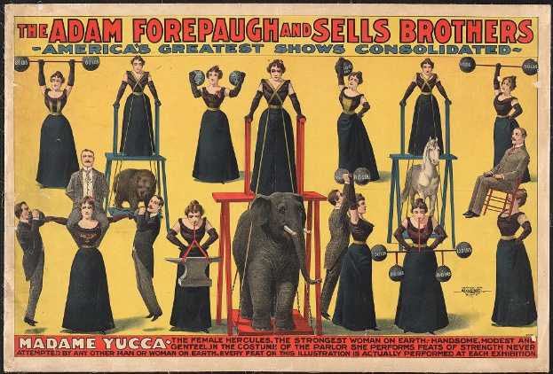 Plakat für die vereinigte Zirkusshow von Adam Forepaugh und Sells Brothers mit Performern auf Hockern, einem Elefanten in der Mitte und Werbetext.