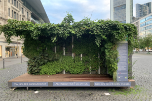 Grünes Gebäude mit Efeu an den Wänden, umgeben von Bäumen und städtischen Elementen, Teil der Staufbilter Biodiversität in Berlin, Deutschland, unter einem bewölkten Himmel.
