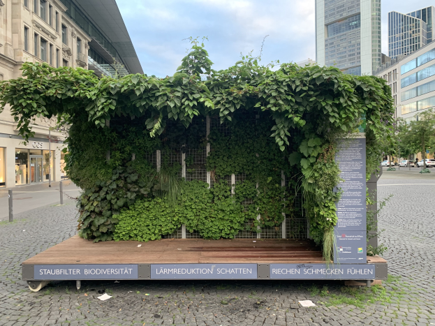 Grünes Gebäude mit Efeu an den Wänden, umgeben von Bäumen und städtischen Elementen, Teil der Staufbilter Biodiversität in Berlin, Deutschland, unter einem bewölkten Himmel.