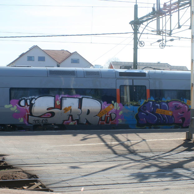 Mit Graffiti bedeckter Zug mit sichtbaren Kabeln, Häuser mit Fenstern im Hintergrund.