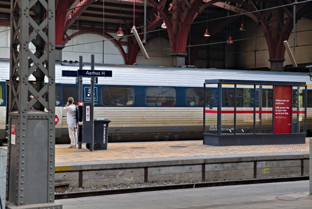 Ein Zug fährt auf einem Bahnsteig ein, wo eine Person in der Nähe steht, mit einem Müllcontainer, Pfölen, Informationsanzeigen und Deckenleuchten.
