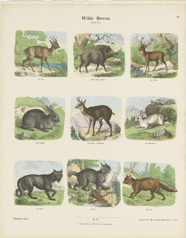 Ein Buchumschlag mit Illustrationen von Wildtieren wie einem Reh und einem Kaninchen, mit Text auf dem Papier.