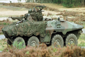 Militärisches Personalfahrzeug mit montierter Kanone auf einer Straße neben einem Wald.