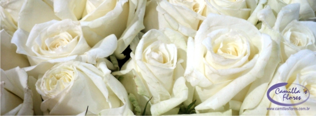 Ein Bukett weißer Rosen mit einer kleinen Inschrift am unteren Bildrand.