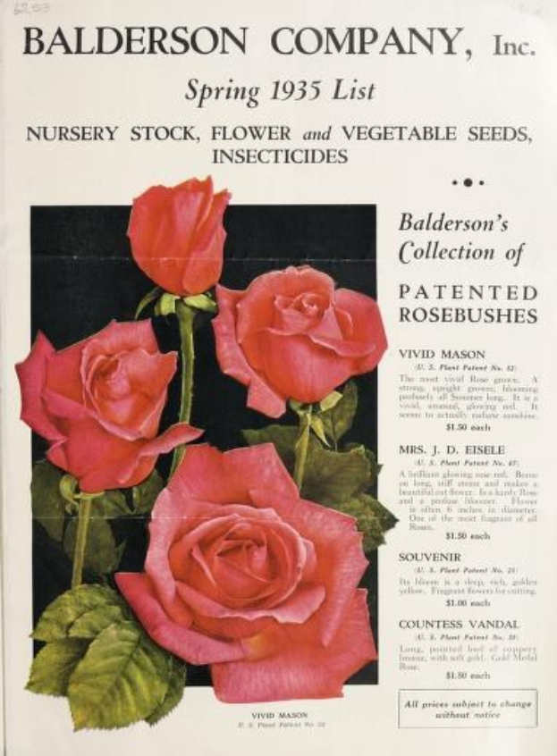A Baldwin Company, Inc. Spring 1935 catalog featuring pink roses and foliage on its cover.