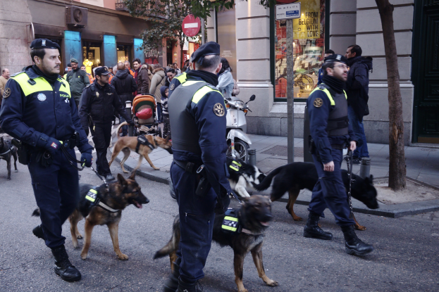 Eine Gruppe von Polizisten mit ihren Hunden geht eine Straße entlang, umgeben von einer Menge, Fahrzeugen, Bäumen und Gebäuden mit Fenstern und Türen, mit einem Schild an einem Pfahl im Hintergrund.
