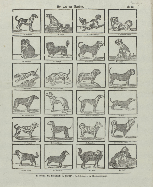 Ein offenes altes Buch, das verschiedene Hundewelpen mit begleitendem Text auf der Seite zeigt.