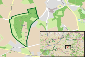 Eine detaillierte Stadtkarte mit einem zentralen grünen Bereich, der für die geplante Entwicklung markiert ist, zeigt umliegende Straßen, Gebäude und Sehenswürdigkeiten.