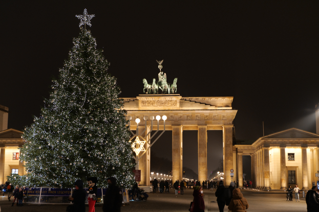 Ein prächtiger Weihnachtsbaum mit Lichtern und Sternen steht vor dem Reichstagsgebäude in Berlin, Deutschland, umgeben von Menschen und Gebäuden, Laternenmasten und Schildern im Hintergrund bei einem bewölkten Himmel.