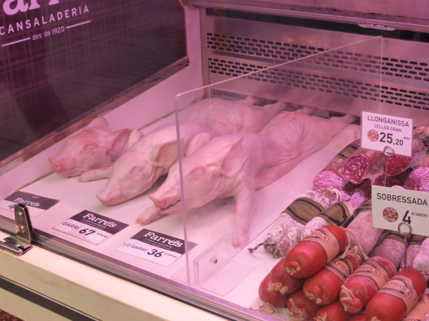 Eine Vitrine voller verschiedener Fleischsorten, darunter Schweine- und Wurstwaren, mit Preisschildern an der Scheibe.