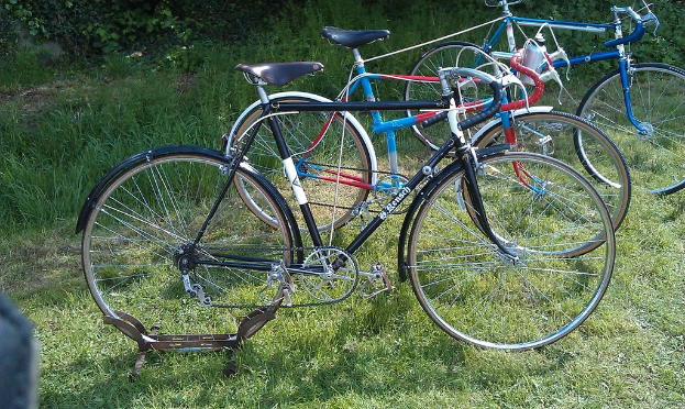 Fahrräder sind auf der Wiese in der Mitte des Bildes geparkt, mit Pflanzen oben sichtbar.