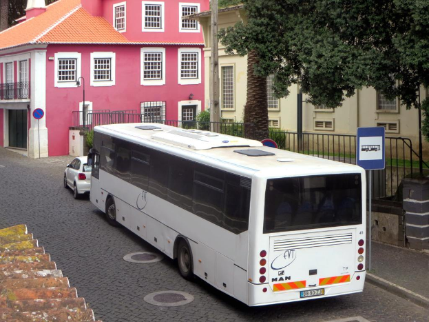 Fahrzeuge auf einer Straße mit Pfählen, Schildern und Absperrungen im Hintergrund, dahinter Bäume, Pflanzen und Gebäude.