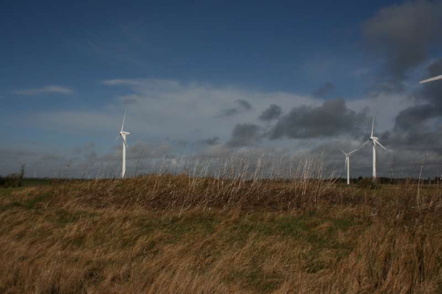 Ein Feld von Windkraftanlagen auf einer grünen Fläche mit Bäumen im Hintergrund und Wolken am Himmel, mit Text, der eine Windfarm in den Niederlanden am unteren Rand anzeigt.